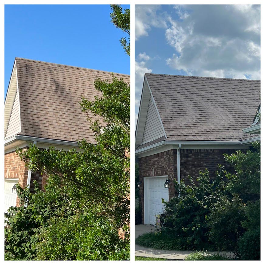 Roof Mold Removal in Lexington, KY