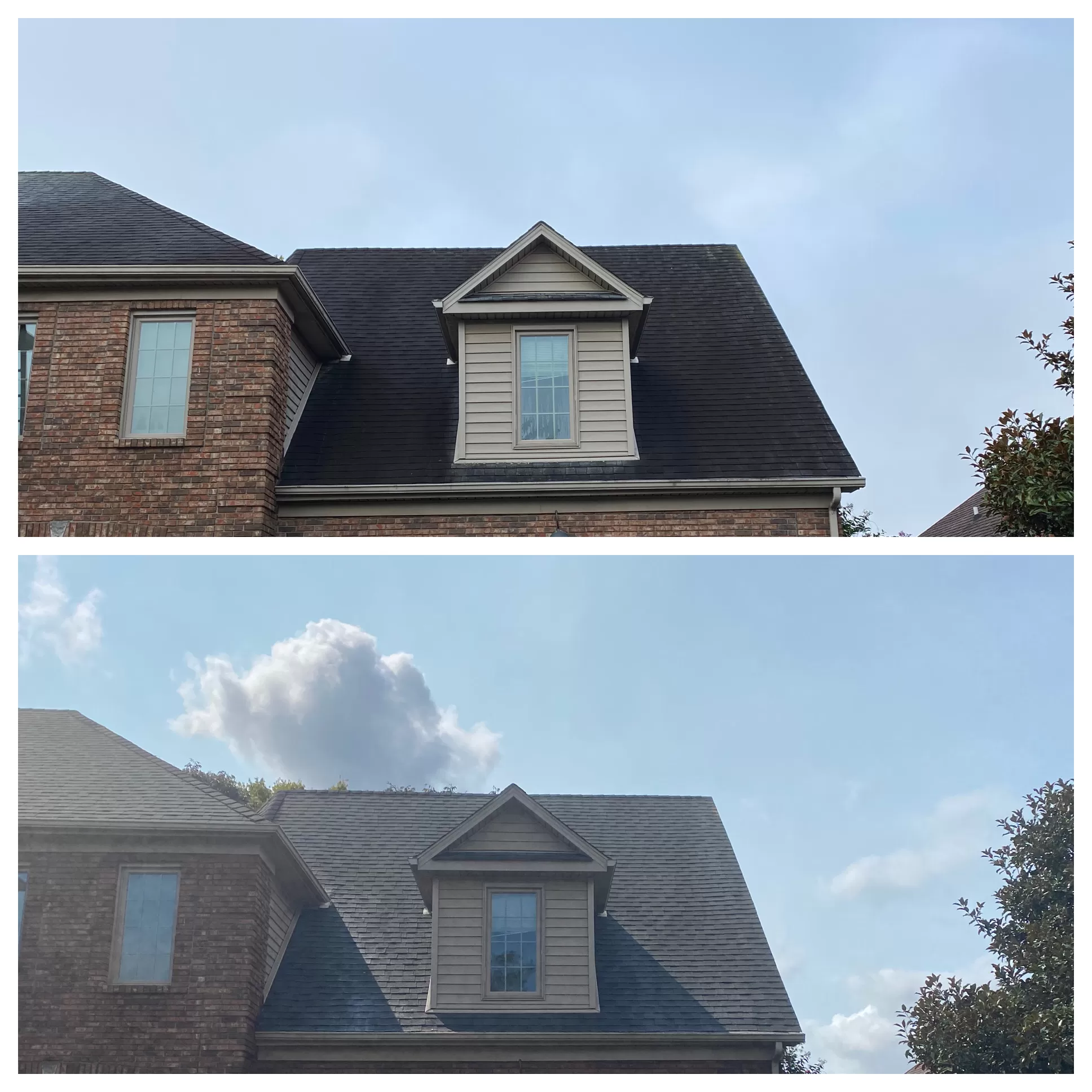 What Color Is My Roof?!
