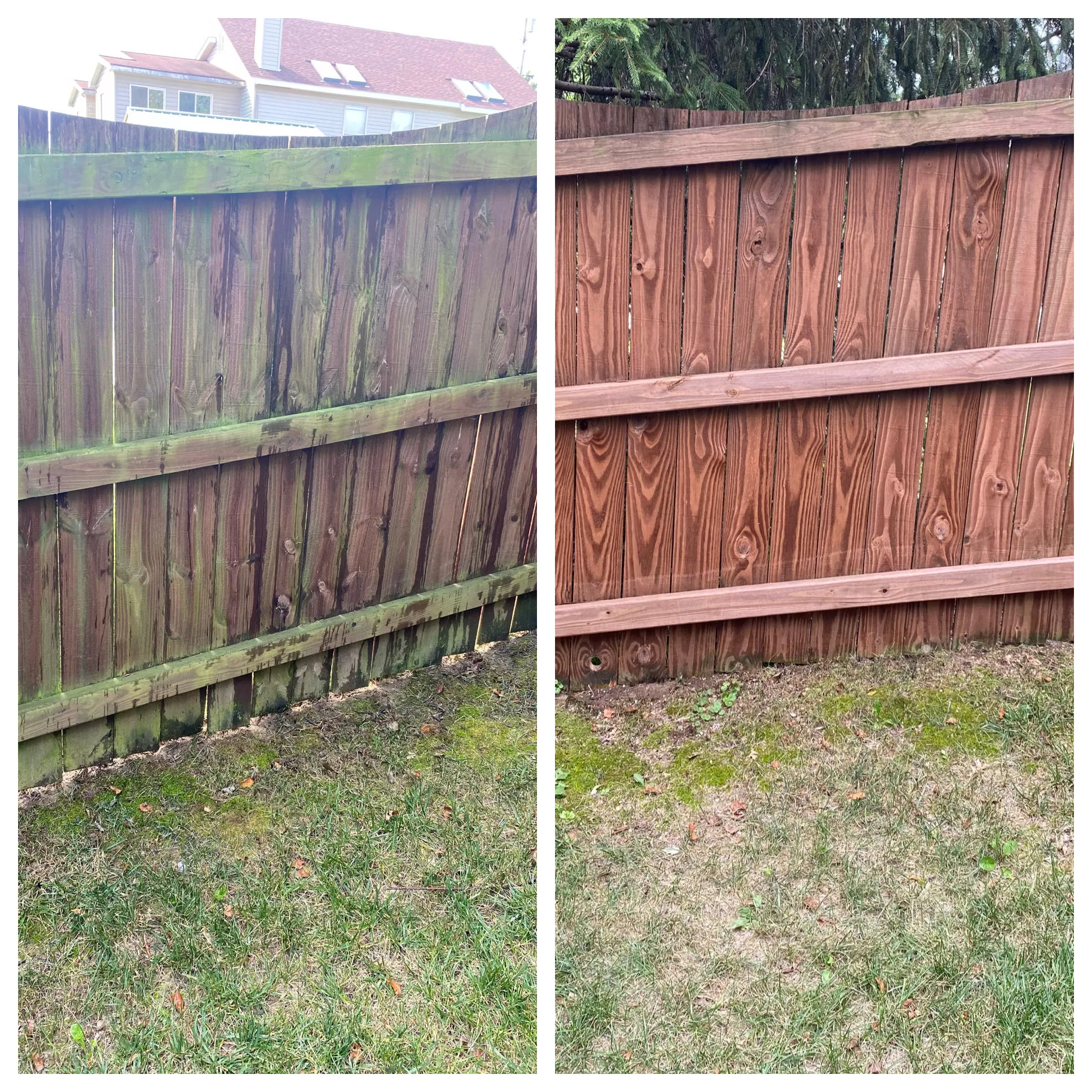 Wood Fence Restoration in Lexington, KY